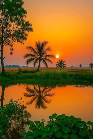 A vibrant sunset over a calm body of water reflecting palm trees and the orange sky, with green foliage in the foreground.