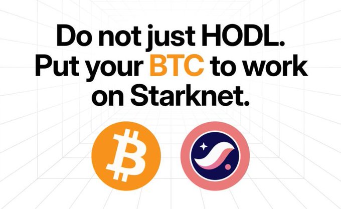 A promotional graphic with the text 'Do not just HODL. Put your BTC to work on Starknet.' featuring Bitcoin and Starknet logos.
