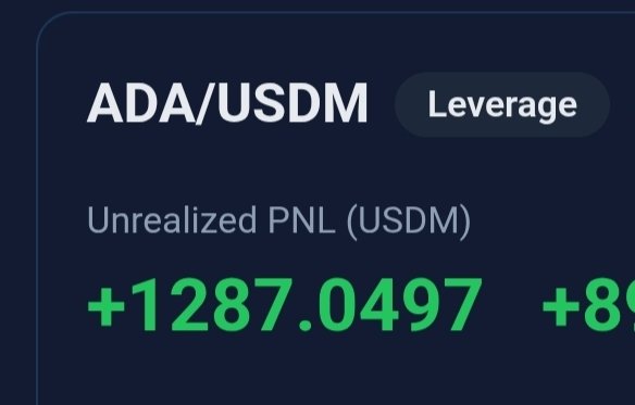 A trading interface screenshot showing "ADA/USDM" with leverage, displaying an unrealized PNL of "+1287.0497".