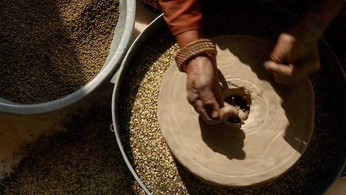A close-up of hands shaping clay on a pottery wheel, surrounded by grains, with the potter wearing a leather wristband.