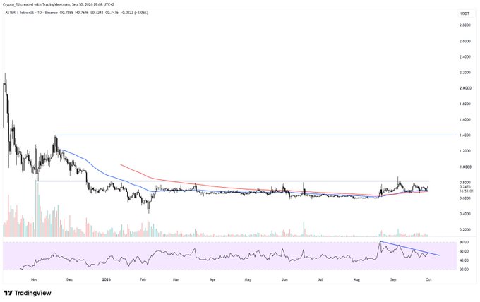 The image is a TradingView daily candlestick chart of ASTER/USDT on AsterDex, showing a sharp decline from highs above 2.6 USDT in late 2023 to current levels around 0.73-0.74 USDT, with the price consolidating between two horizontal support/resistance lines (0.65 and 1.00) for most of 2024. The accompanying post suggests the trader has gone long on ASTER, anticipating a potential recovery pump despite the prolonged accumulation phase visible in the sideways price action.