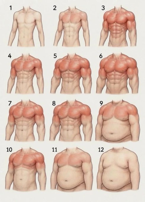 A 12-panel illustration showing a progression of male body types, from lean (1) to highly muscular (6), then transitioning through various stages of abdominal fat accumulation (7-12), with a humorous caption asking crypto enthusiasts which physique best represents them.