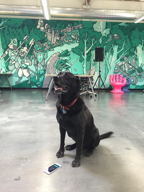 A black Labrador dog sits attentively on a polished concrete floor in front of a vibrant green mural depicting medieval warriors and a forest, with a pink and blue inflatable hand chair visible in the background.