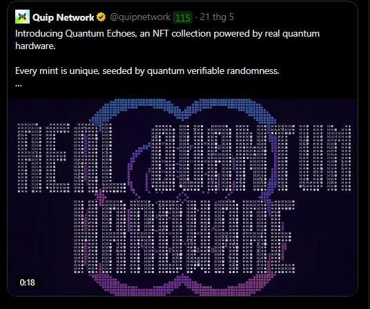 The image features a black background with white text that reads "Real Quantum Hardware" followed by a purple and blue patterned design of two circles connected by a line. The text also includes some information about the Quantum Echoes collection, which has been curated by real quantum randomness.
