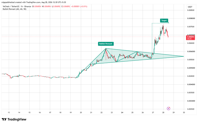 A TradingView chart for VeChain/TetherUS (VETUSDT) showing a 'Bullish Pennant' pattern with a target marker, indicating a price around 0.0069.