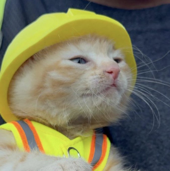 A small orange kitten with a serious expression wears a yellow construction worker's hard hat and matching safety vest.