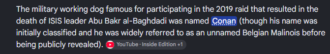 A text excerpt identifying the military working dog from the 2019 raid on Abu Bakr al-Baghdadi as 'Conan,' a Belgian Malinois initially referred to as unnamed, with a YouTube source attribution to Inside Edition.