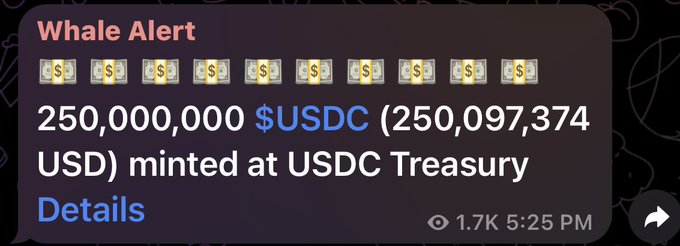 In the image, we see a screenshot of an app called Whale Alert. The main content of this app appears to be related to a USDC trading platform, possibly offering $250m worth of USDC, or cryptocurrency, depending on the interpretation. There is also information about how much has been minted at USDC Treasury and details about a post on Facebook Messenger regarding the trading platform.