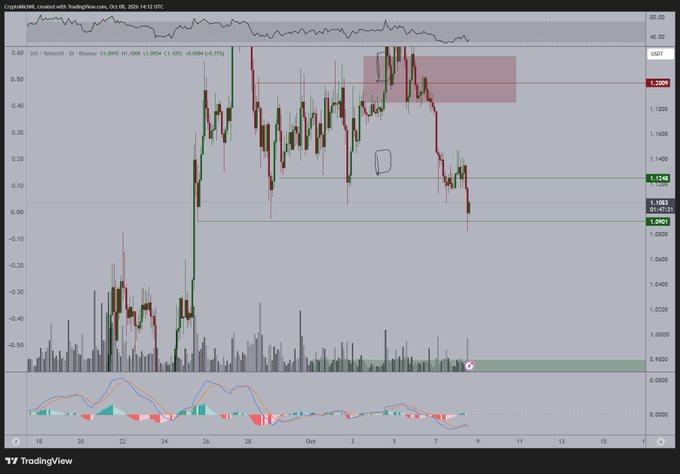 A TradingView 2-hour candlestick chart of SUI/USDT (TradingView) shows the price hovering around $1.1085 after sweeping liquidity below prior lows near $1.10, visually confirming the post's argument that the current zone is a prime long entry, with $1.00 marked as the next major support level if price fails to hold.