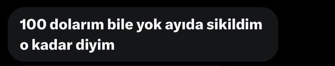 A dark chat bubble displays the Turkish text "100 dolarım bile yok ayılda sıkıldım o kadar diyim" (translating to "I don't even have 100 dollars, I'm just tired of bear, that's all I'll say"), accompanying a post about sharing market facts. The message conveys frustration about financial struggles during bearish market conditions.