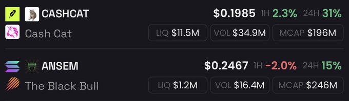 The image shows a cryptocurrency market comparison between $CASHCAT (Cash Cat) with a market cap of $196M and $ANSEM (The Black Bull) at $246M, illustrating the "flippening" as ANSEM's market cap edges closer to overtaking CASHCAT's despite CASHCAT's higher 24-hour gain of 31% versus ANSEM's 15%.