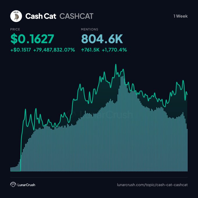 A LunarCrush chart shows CashCat (CASHCAT) at $0.1627 (+79,487,832.07%) with 804.6K mentions up 1,770.4% over the past week, visually confirming the post's claim of explosive weekly growth in social activity and price for the newly launched coin.