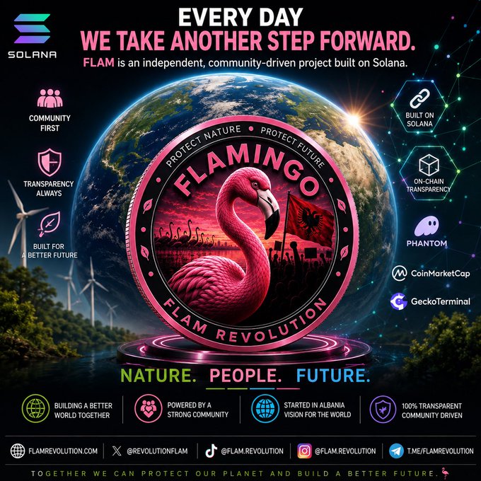 Promotional graphic for 'FLAMINGO' and 'FLAM REVOLUTION', a community-driven project on Solana featuring a pink flamingo emblem on a coin against an Earth backdrop, listing features like 'COMMUNITY FIRST' and 'BUILT ON SOLANA'.