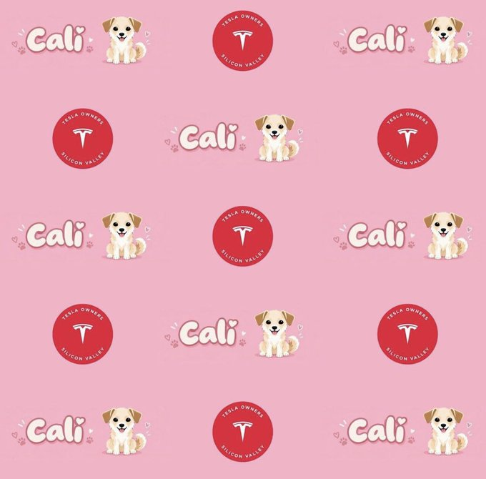 A pink repeating pattern design featuring the name "Cali" with a small dog illustration and red circular badges reading "Tesla Owners Silicon Valley" with the Tesla logo.