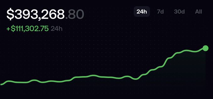 A portfolio dashboard shows a balance of $393,268.80 with a 24h gain of +$111,302.75, displayed above an upward-trending green line chart—suggesting disbelief at an unexpectedly massive single-day profit spike.