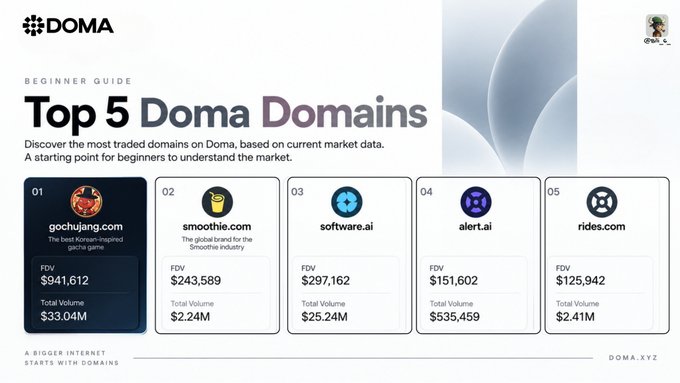 A DOMA 'Beginner Guide' infographic titled 'Top 5 Doma Domains' listing gochujang.com, smoothie.com, software.ai, alert.ai, and rides.com with their FDV and Total Volume values.