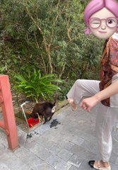 A woman wearing glasses and a colorful scarf lifts her bare foot near a small dog wearing a pink harness on a stone dock with red railings, surrounded by lush greenery. The scene matches the caption's playful tone, suggesting a curious, lighthearted moment of a pet exploring the dock as the woman playfully interacts with it.
