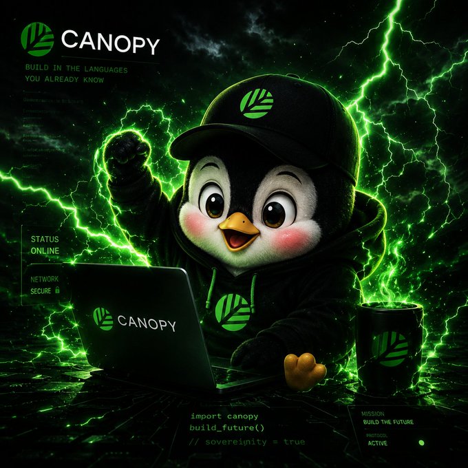 A Canopy-branded penguin mascot in a hoodie uses a laptop amid dramatic green lightning, with text reading "BUILD IN THE LANGUAGES YOU ALREADY KNOW" and code snippets like "import canopy" and "build_future()".