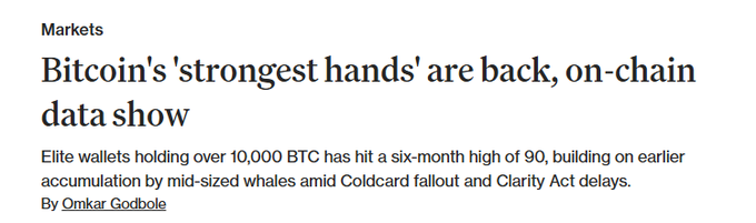 A news article headline: 'Bitcoin's 'strongest hands' are back, on-chain data show' under the Markets section, written by Omkar Godbole, discussing elite wallets holding over 10,000 BTC.