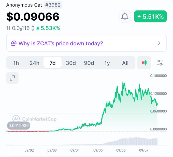 A CoinMarketCap chart showing Anonymous Cat (#3982) priced at $0.09066, up 5.51K% over 7 days, with an AI prompt asking 'Why is ZCAT's price down today?'