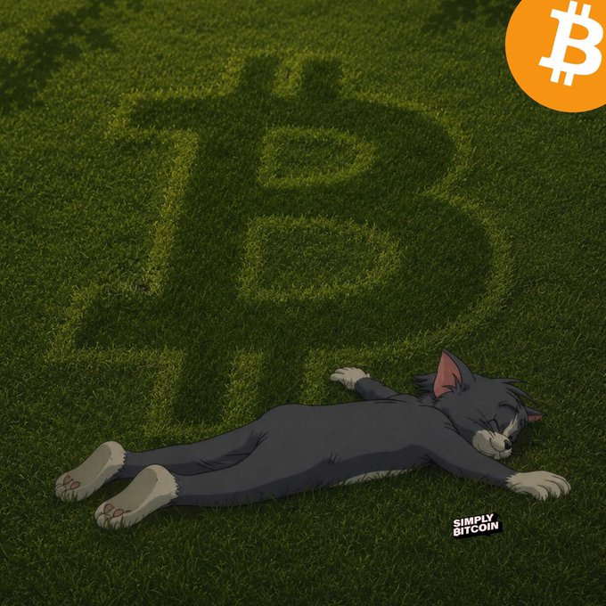 An animated gray cat sleeps peacefully on green grass with a Bitcoin 'B' symbol shadowed in the background, featuring a Bitcoin logo and 'SIMPLY BITCOIN' text.