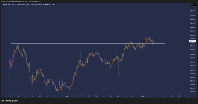 A TradingView chart displays $CASH CAT on a 4-hour timeframe, showing price action peaking around $0.28765 with a horizontal resistance line near recent highs, consistent with the post's bullish sentiment about an imminent Binance listing.