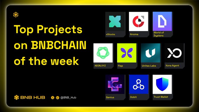 The image features a poster for @BNBCHAIN, which is an online marketplace that allows users to buy and sell stocks directly from the blockchain. The poster displays a list of top projects on BNBCHAIN, including "Top Projects on BNCChain" and "Top Projects on xStocksFi". These projects are related to institutional trading and include companies like SpaceX and AnomaPay V1. The image also includes logos for other companies such as "Ursa Labs", "Portal", and "xStocksFi".