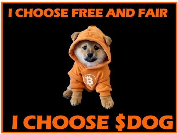 A Shiba Inu dog wearing an orange Bitcoin hoodie is centered on a black background with orange borders, captioned "I CHOOSE FREE AND FAIR" at the top and "I CHOOSE $DOG" at the bottom. The image aligns with the post's bullish crypto sentiment, promoting $DOG and Bitcoin in a positive, meme-style morning greeting.