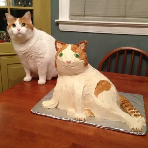 A humorous photo of a real white and orange cat sitting on a wooden table next to a remarkably accurate cake shaped and decorated to look exactly like the cat.