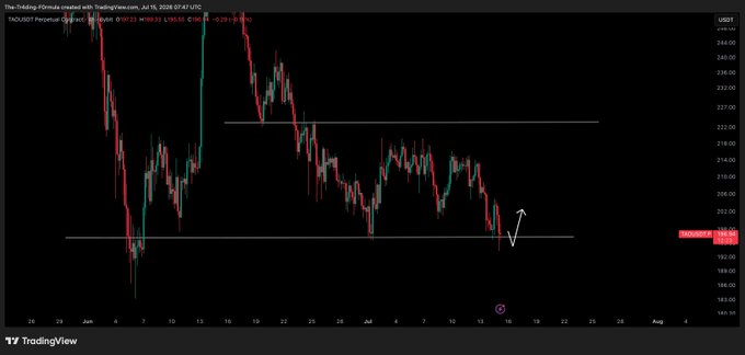 The image shows a TradingView candlestick chart for $TAO/USDT Perpetual futures on Binance, currently priced at 203.31, with a horizontal support line drawn near the recent low and a white arrow pointing upward indicating the trader's expected bounce target toward $216 if support holds.
