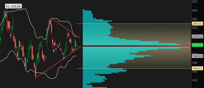 A financial chart showing candlestick price action on the left with a descending triangle pattern, paired with a volume profile on the right displaying key price levels including 269.02, 239.52, 220.14, 194.93, and 166.41, with a high marker at 299.86.