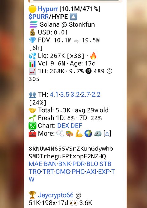 A screenshot shows cryptocurrency statistics for 'Hypurr' ($PURR/HYPE) with a market cap of 10.1M, listed on the Solana blockchain via Stonkfun.