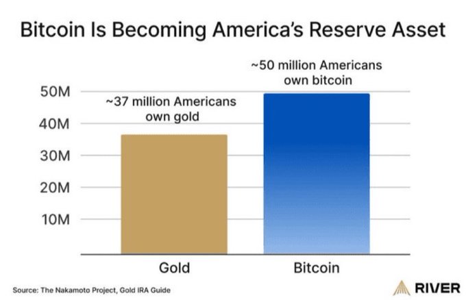 The image presents a bar graph comparing the value of Bitcoins with that of gold coins over time. It displays that, currently, people are holding more Bitcoins than gold, indicating an increase in the popularity or worth of Bitcoins compared to gold. The graph showcases the growth in both digital and physical assets, providing a visual representation of their respective values across time periods.