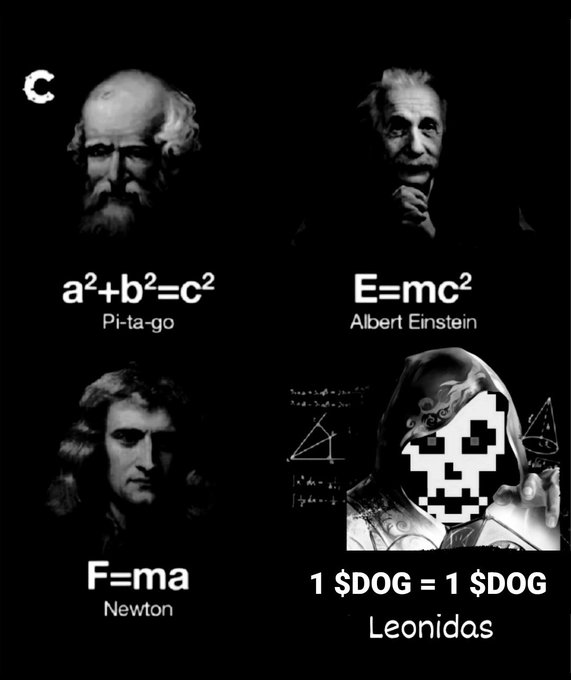 Meme poster featuring famous historical figures with their iconic equations: Pythagoras with a²+b²=c² ('Pi-ta-go'), Albert Einstein with E=mc², Newton with F=ma, and a pixelated Spartan warrior labeled 'Leonidas' with '1 $DOG = 1 $DOG'.