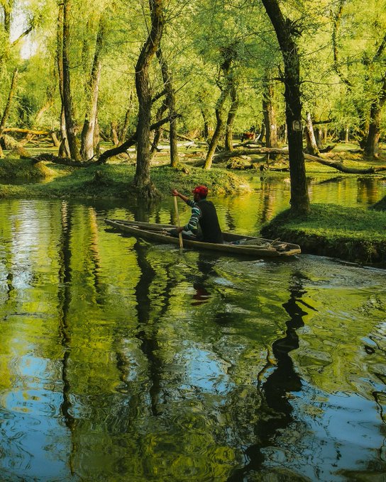 A person paddling a small canoe through a serene forest river, surrounded by lush green trees with reflections shimmering on the water.