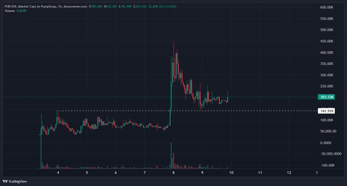 The image shows a 1-hour candlestick chart of PUB-USDC on the Cap exchange via dexscreener, displaying a price of $203.538 with a market cap of $162.69M (+12.65%), alongside a volume of 5.627K. The chart illustrates a significant price spike and subsequent consolidation, supporting the post's bullish thesis that PUB is bottoming ahead of the mainnet launch.