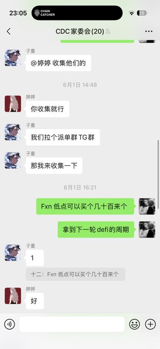 A WeChat group chat screenshot titled 'CDC家委会(20)' showing a conversation in Chinese about collecting TG群 (Telegram groups), with a green message mentioning buying 'Fxn' at lows and holding for the next DeFi cycle.