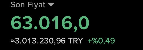 A digital display shows "Son Fiyat" (Last Price) of 63,016.0 in large green text, equivalent to approximately 3,013,230.96 TRY, with a +0.49% change indicator. The image directly visualizes the post's sentiment that Bitcoin is barely moving, as the minimal 0.49% gain confirms the "yaprak kımıldamıyor" (not a leaf stirs) stillness of BTC's price action.