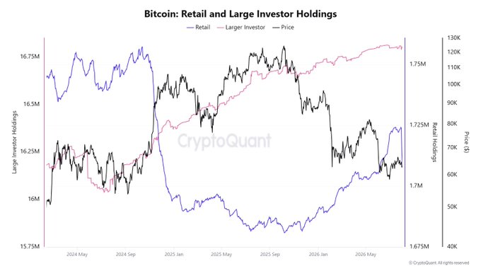 The chart titled "Bitcoin: Retail and Large Investor Holdings" from CryptoQuant shows retail Bitcoin holdings (blue line) rising sharply alongside declining prices (black line) from early 2026, while large investor holdings (pink line) have steadily increased from ~16.25M to ~17.75M over the period from 2024 to mid-2026.

This visualization supports the post's claim by showing retail investors increasing their holdings (not selling) during recent price declines, while large investor/whale holdings have continuously grown, indicating whales are accumulating rather than distributing despite the price drop.