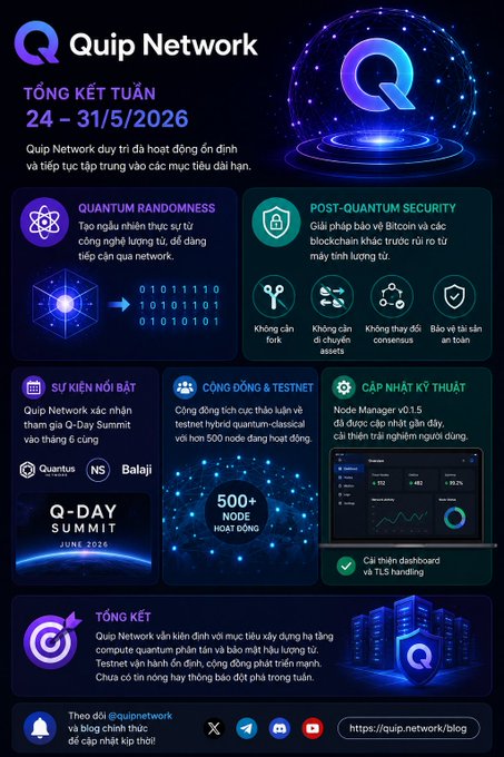 The image features a purple background with white text that reads "quip network" at the top. Below this, there are two blue circles containing the words "@quipnetwork/ @NucleusCodes" and "@quipnetwork/ @NucleusCodes has maintained stable operations". The main focus of the image is a purple square with a blue circle in the center that says "Over the past week, @quipnetwork / @NucleusCodes has maintained stable operations and continued to focus on 2 Main Directions: Quantum Randomness - providing a true source of randomness from quantum technology, easily accessible through the network". The image also includes a list of bullet points in English and Vietnamese.