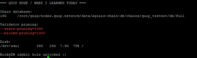 A terminal screenshot titled "QUIP NODE / WHAT I LEARNED TODAY" displays chain database paths, validator pruning settings (state and blocks pruned to 1000), and disk usage statistics showing 38G used out of 794G.