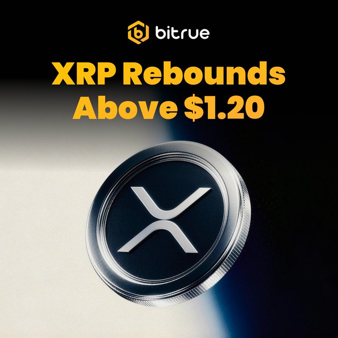 The image shows a silver coin with an XRP symbol, which represents Ripple cryptocurrency. The coin is placed against a black background, making the color of the coin stand out. Below the coin, there's text that says "XRP rebounds above $1.2", indicating how the cryptocurrency has rebounded and gained value in recent times. Additionally, it mentions that Ripple ETFs have experienced considerable growth during this rebound period. The text also suggests that the price for buying Ripple is currently at $1.20, with an upward trend expected to continue.