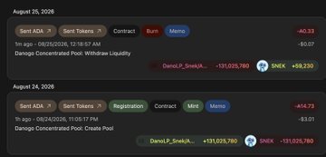 A screenshot of blockchain transaction logs showing events like 'Damage Concentrated Pool: Withdraw Liquidity' and 'Damage Concentrated Pool: Create Pool' involving 'Sent ADA', 'Sent Tokens', and addresses including 'DanaLP_SnekA...'.