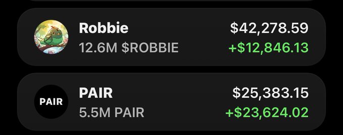 A cryptocurrency portfolio screenshot showing two tokens: Robbie with 12.6M $ROBBIE valued at $42,278.59 (+$12,846.13), and PAIR with 5.5M PAIR valued at $25,383.15 (+$23,624.02), both displayed with green profit indicators.