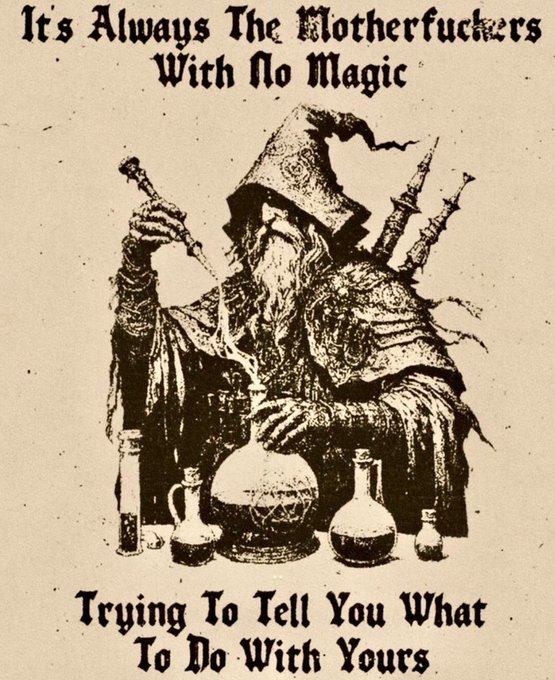 A vintage-style illustration of a wizard in robes holding a wand over potion bottles, with the text 'It's Always The Motherfuckers With No Magic Trying To Tell You What To Do With Yours'.