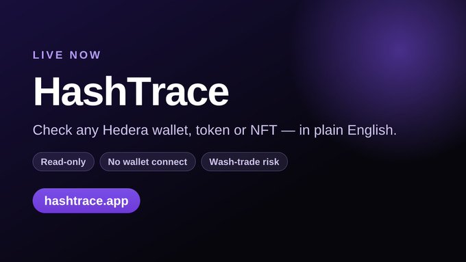 A promotional graphic for HashTrace announces 'LIVE NOW' with the tagline 'Check any Hedera wallet, token or NFT — in plain English,' featuring tags 'Read-only,' 'No wallet connect,' and 'Wash-trade risk,' along with a button for 'hashtrace.app.'