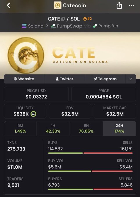 A screenshot of the Catecoin (CATE/SOL) token page on a crypto tracking app shows the token trading at $0.03372 with a $32.5M market cap and 174% gains in the past 24 hours, supporting the post's disbelief at the token's unexpectedly high valuation.