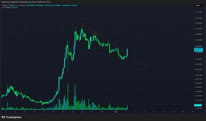 A TradingView chart for the PEW/USDT pair on Binance shows a price of 0.008866 with a +5.48% gain, displaying a downward trend line from a recent peak.