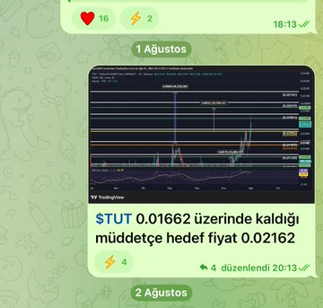 A mobile screenshot displays a TradingView chart dated August 1st with Turkish text "STUT 0.01662 üzerinde kaldığı müddetçe hedef fiyat 0.02162," showing the STUT (formerly $TUT) token holding above 0.01662 with a target price of 0.02162, accompanying a post celebrating the 50% target being reached and promoting a free Telegram analysis channel.