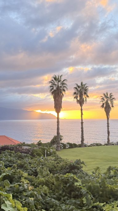 A breathtaking sunset over the ocean is framed by tall palm trees, with golden light reflecting on the calm water as it dips behind distant mountains. The serene coastal scene complements the post's request for engagement ("GM") while subtly aligning with the crypto/SOL wallet drop call-to-action through its tranquil, aspirational island vibe.
